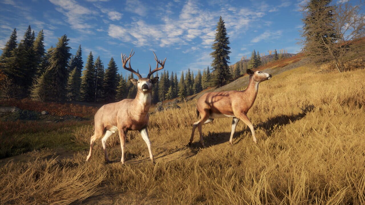 TheHunter: Call of the Wild - TruRACS Image