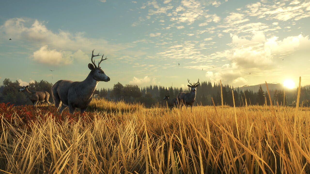 TheHunter: Call of the Wild - TruRACS Image