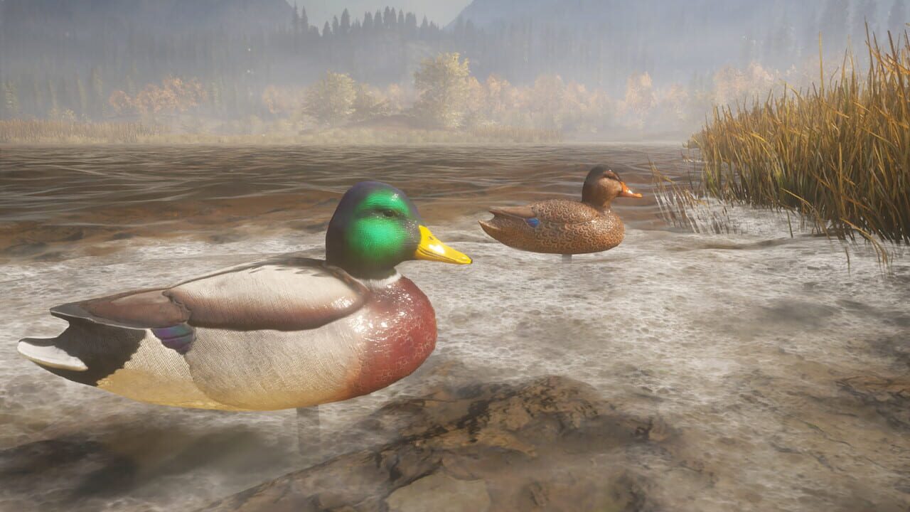 TheHunter: Call of the Wild - Duck and Cover Pack Image