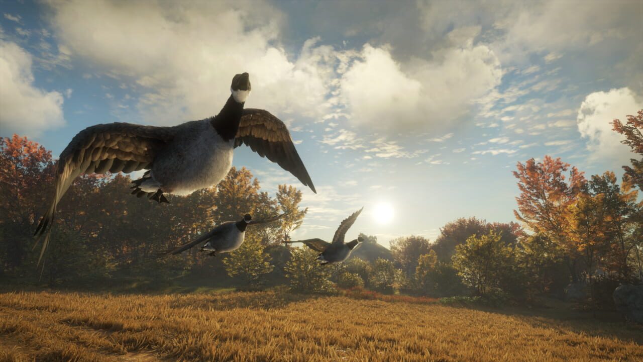 TheHunter: Call of the Wild - Wild Goose Chase Gear Image