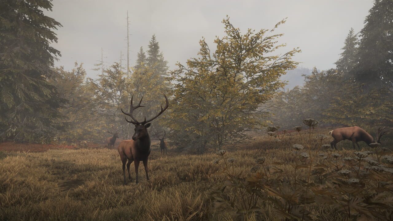 TheHunter: Call of the Wild - Facing the Wild 1 Image