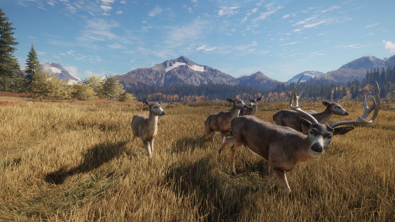 TheHunter: Call of the Wild - Facing the Wild 1 Image