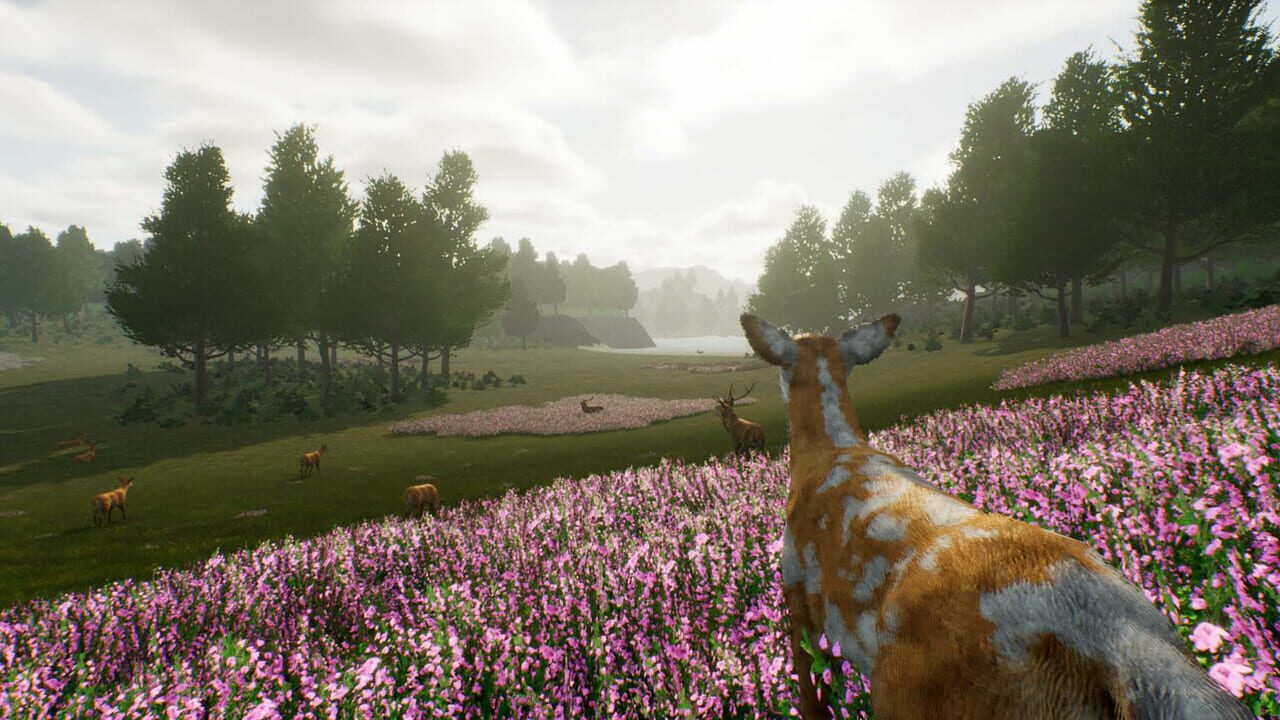 Deer Journey — Screenshot 4