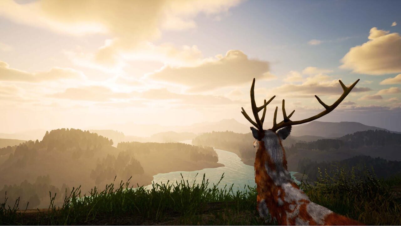 Deer Journey — Screenshot 1