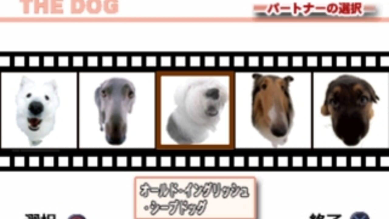 The Dog Master — Screenshot 2