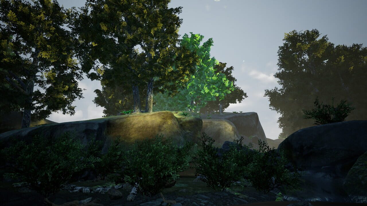 River Relaxation VR Image