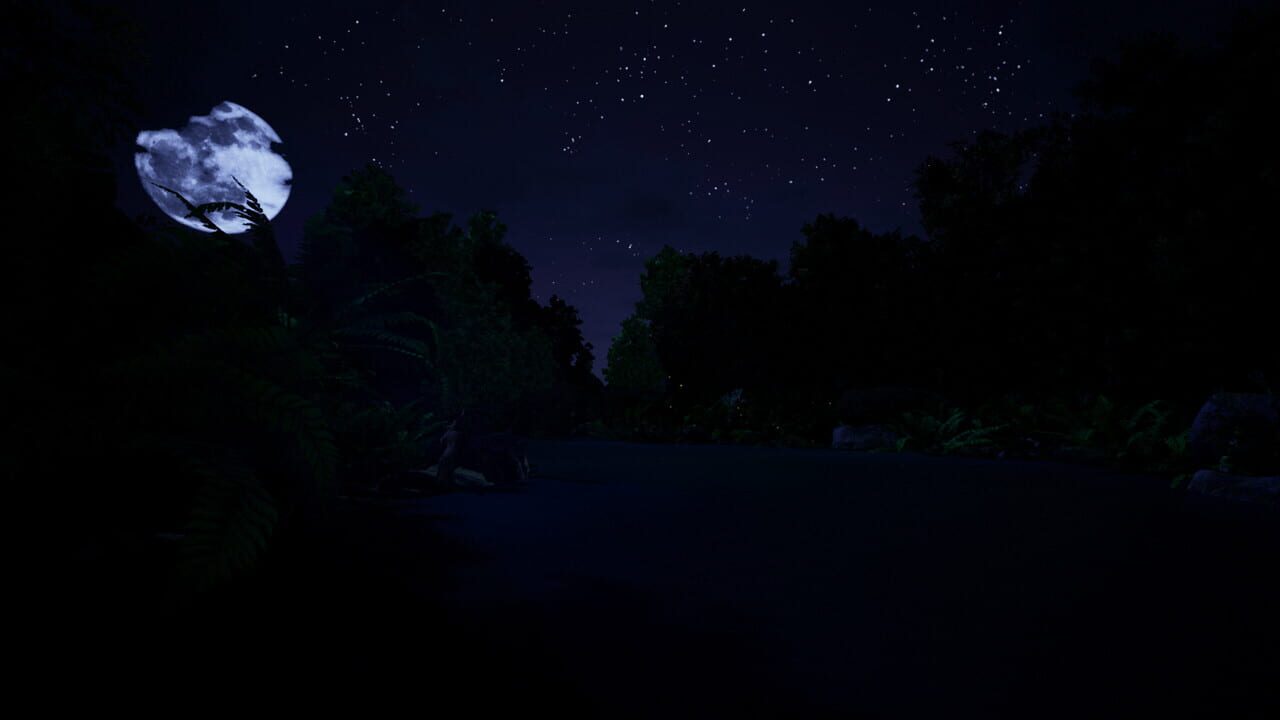 River Relaxation VR Image