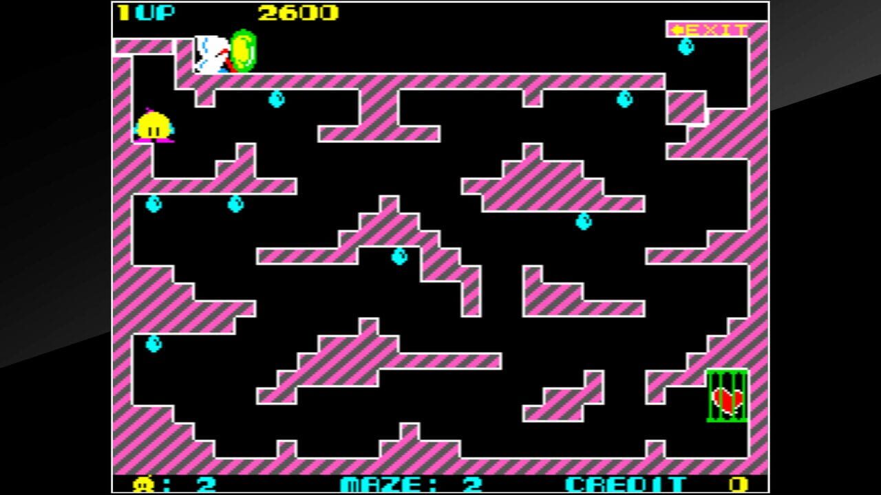 Arcade Archives: Chack'n Pop Image