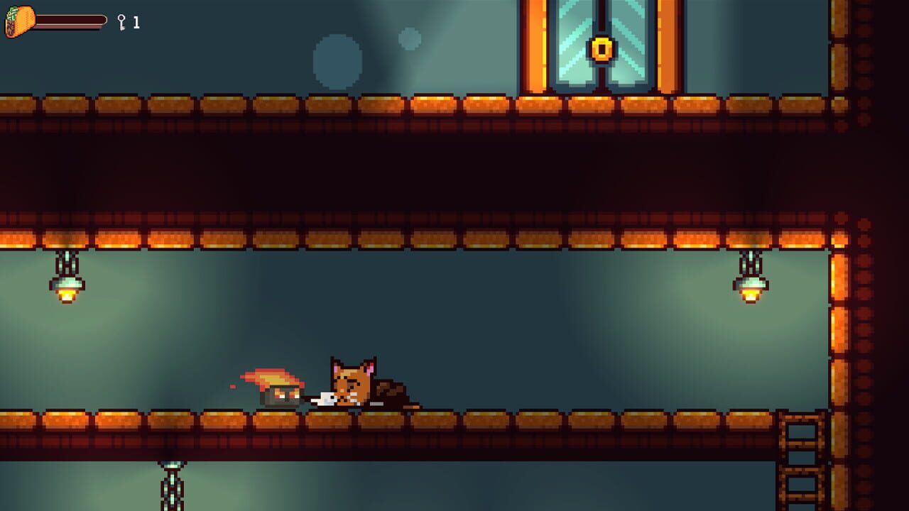 Cat Dimension Image