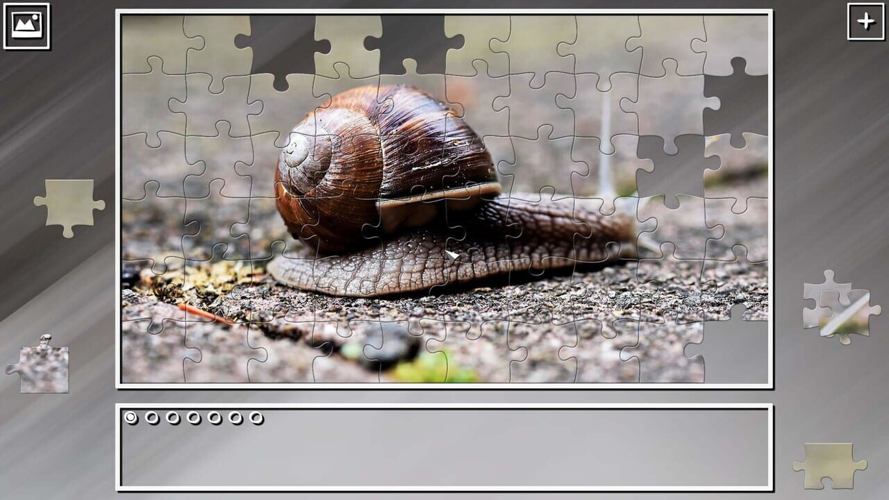 Super Jigsaw Puzzle: Generations - Random Animals 2 Image