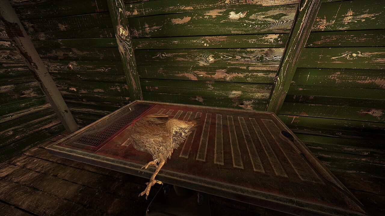 Wild Delivery Image