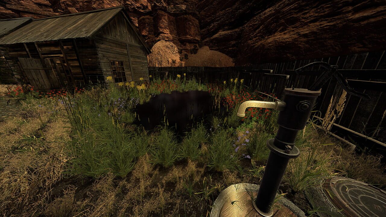 Wild Delivery Image