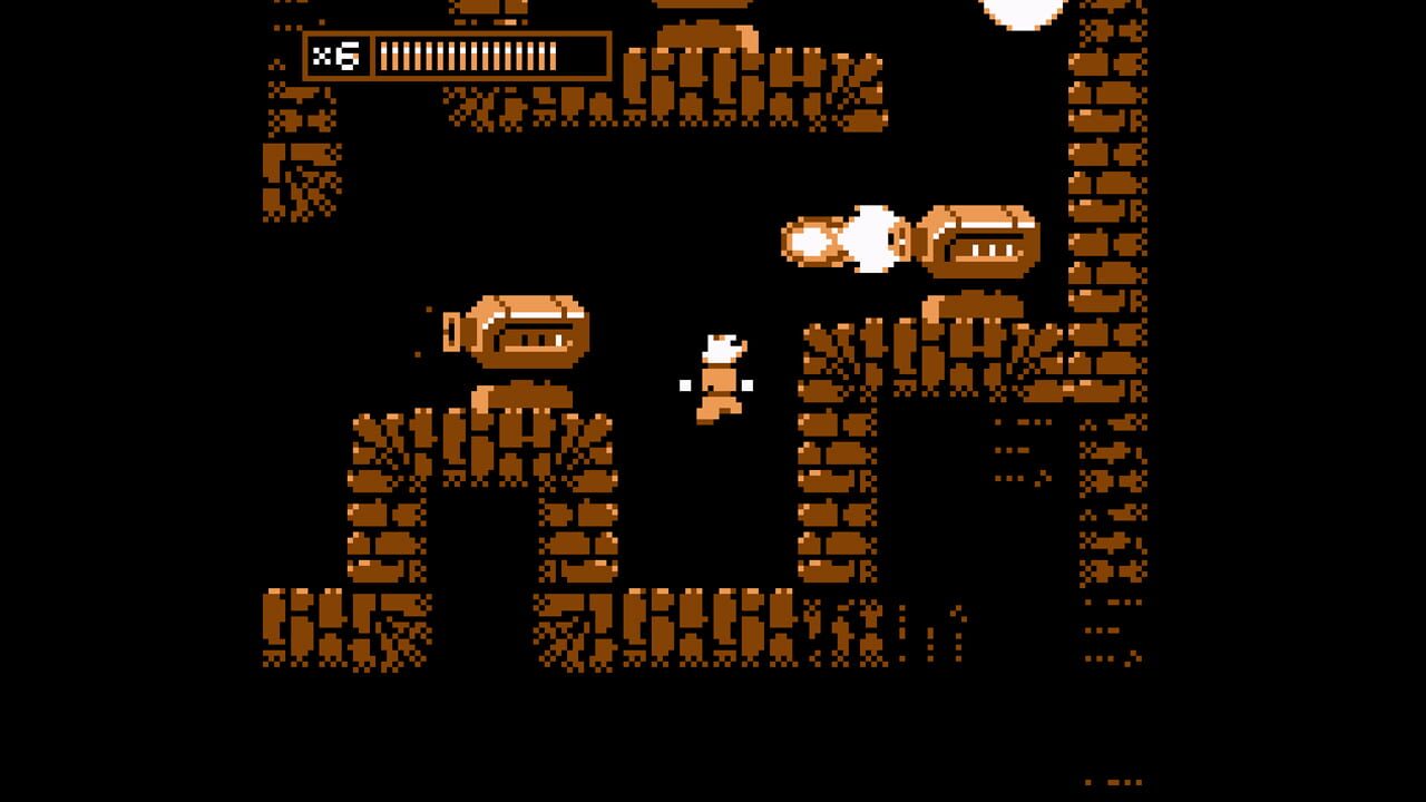 Pets in Action Bundle Image