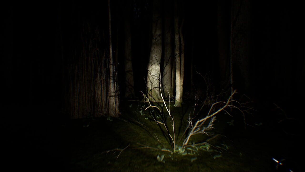 Search 4 Bigfoot Screenshot 1