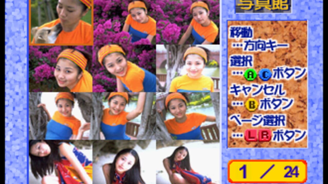 Private Idol Disc Vol. 11: Mayumi Hirose — Screenshot 2