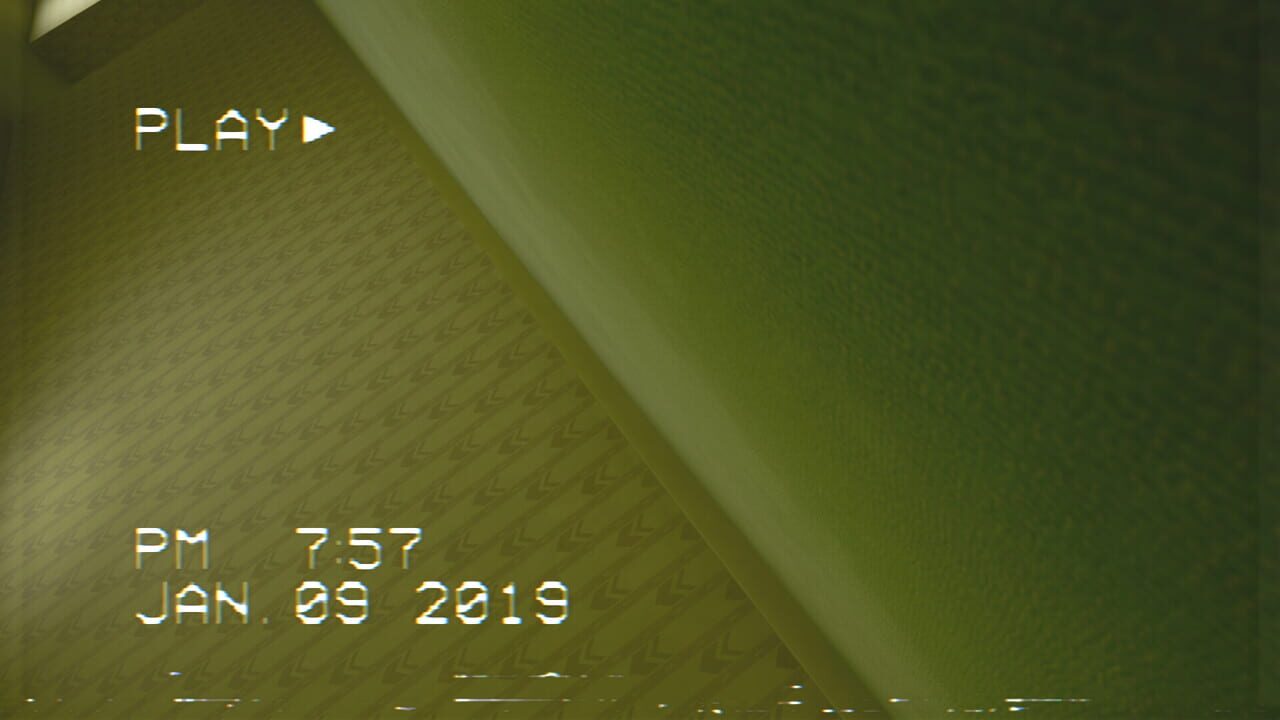 The Backrooms Footage — Screenshot 2