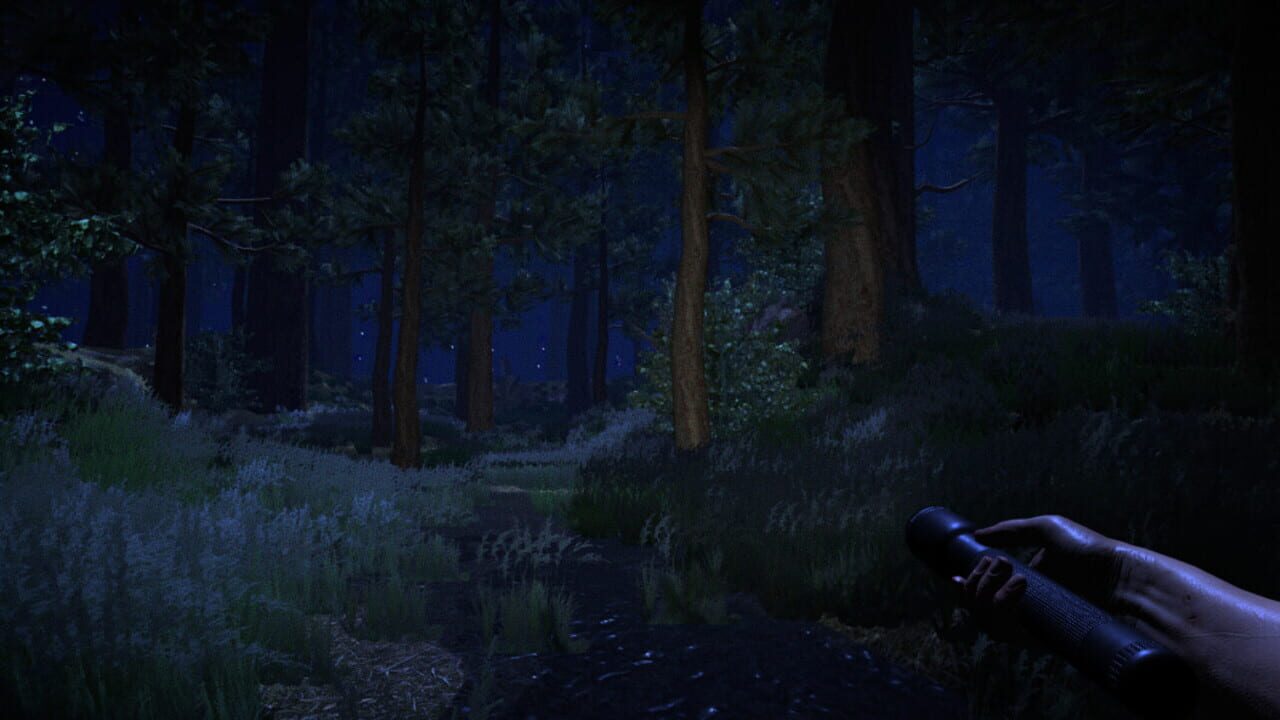Deception — Screenshot 2