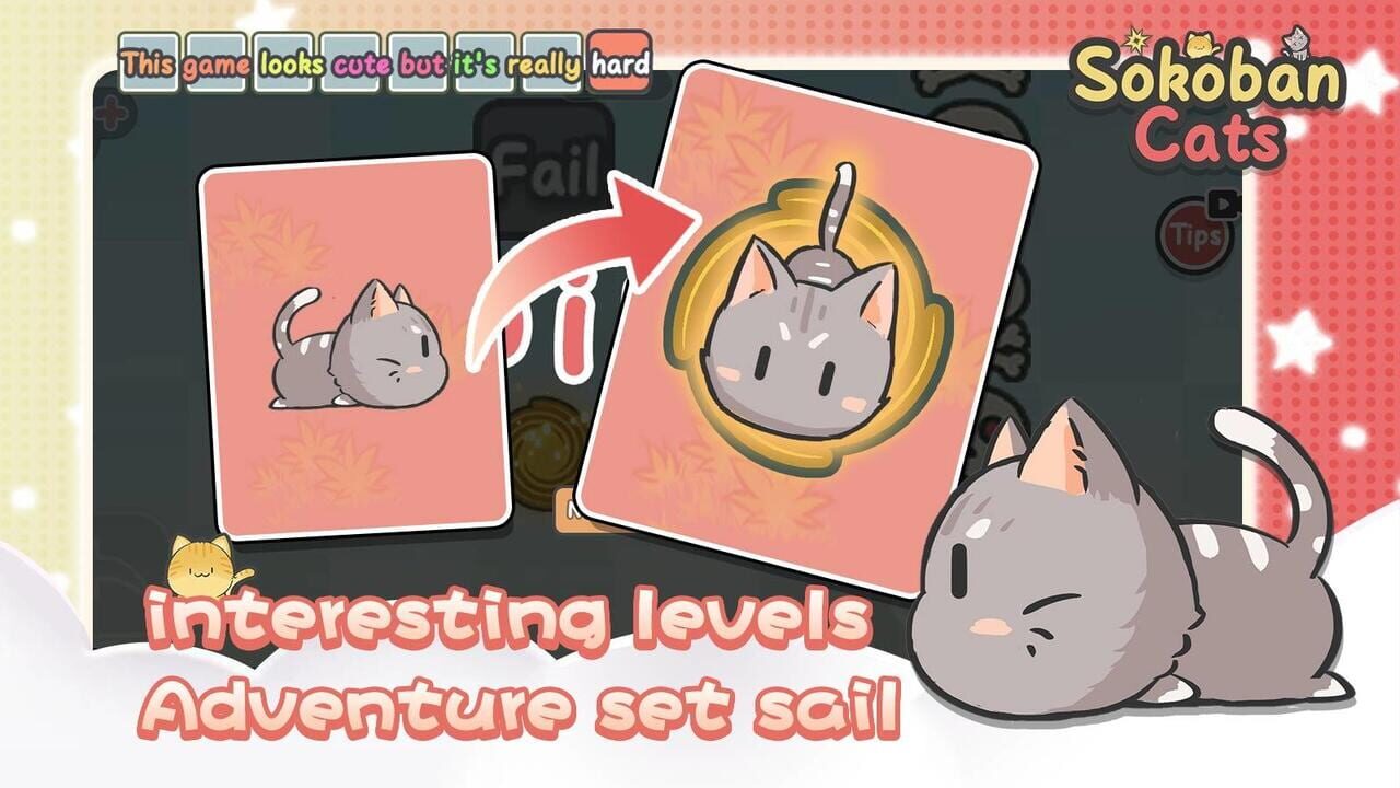 Sokoban Cats — Screenshot 5