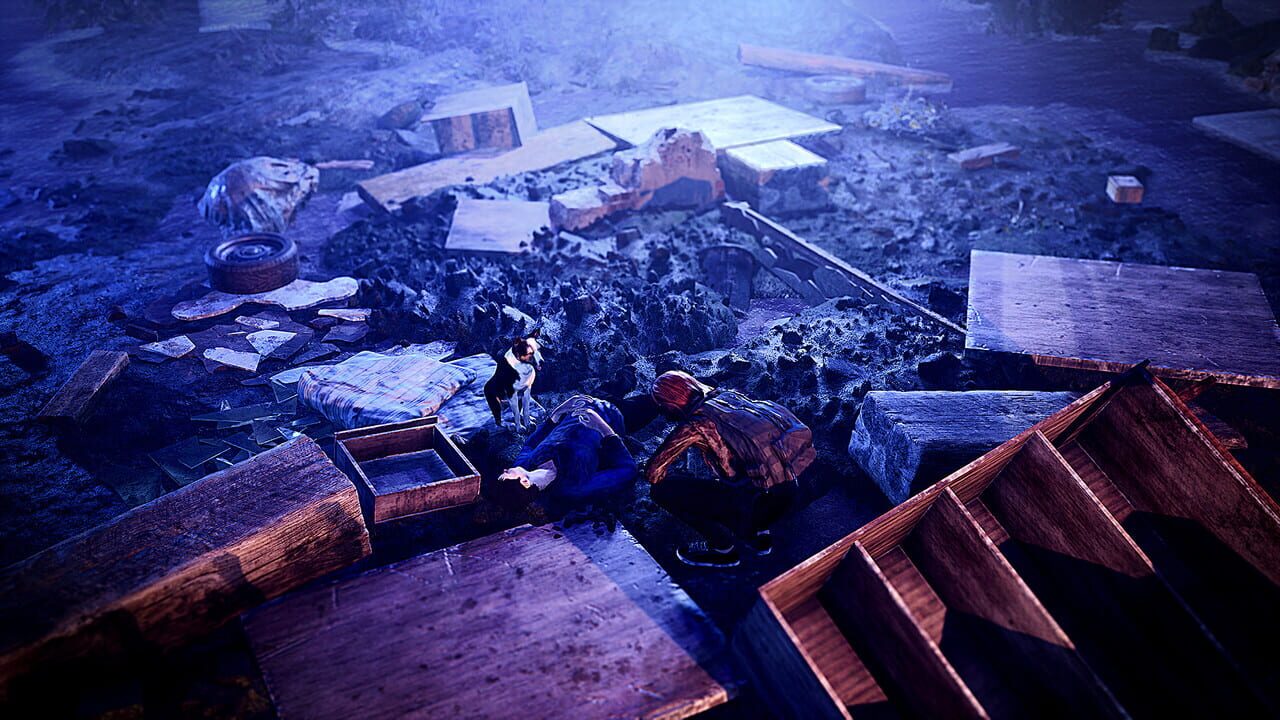The Day After Image