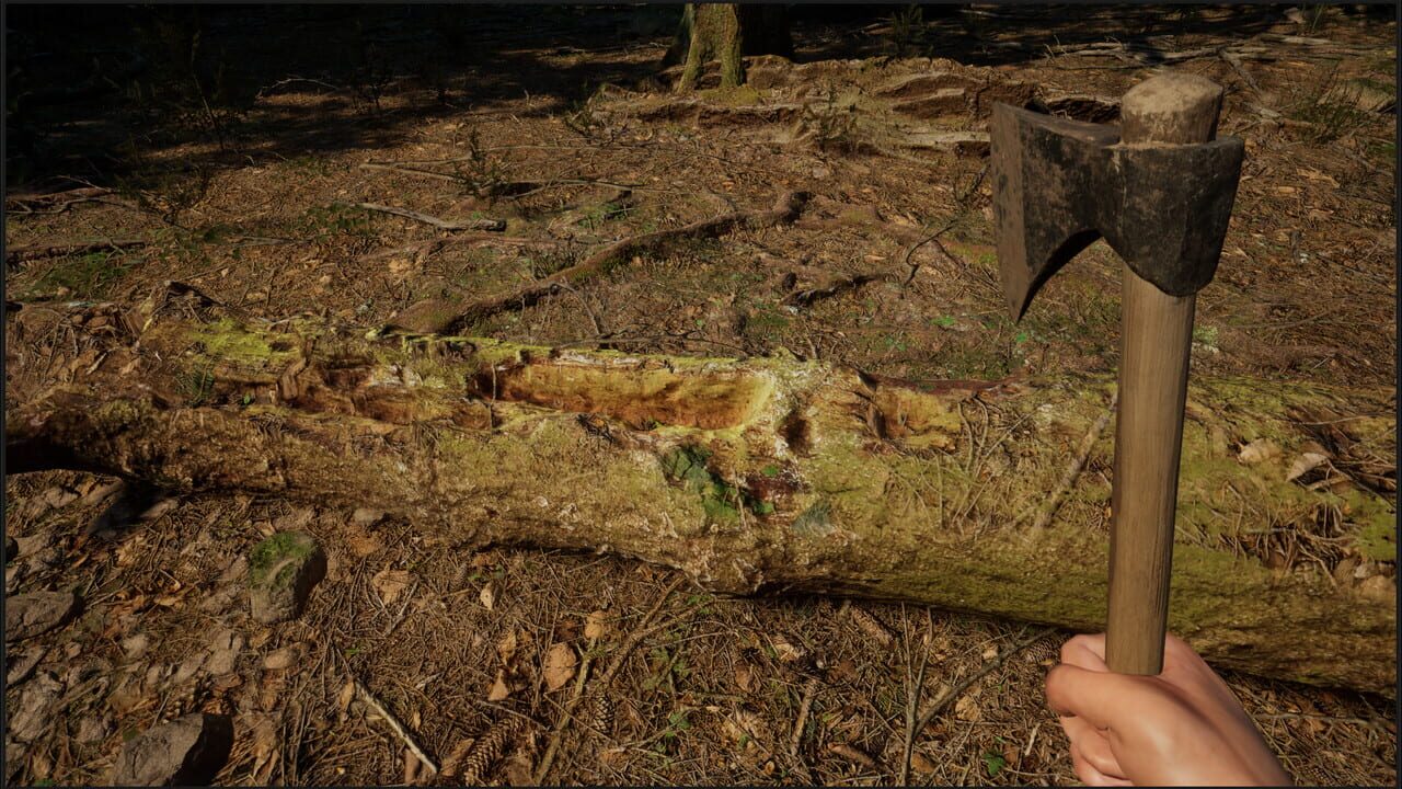 Evergreen: Mountain Life Simulator — Screenshot 4