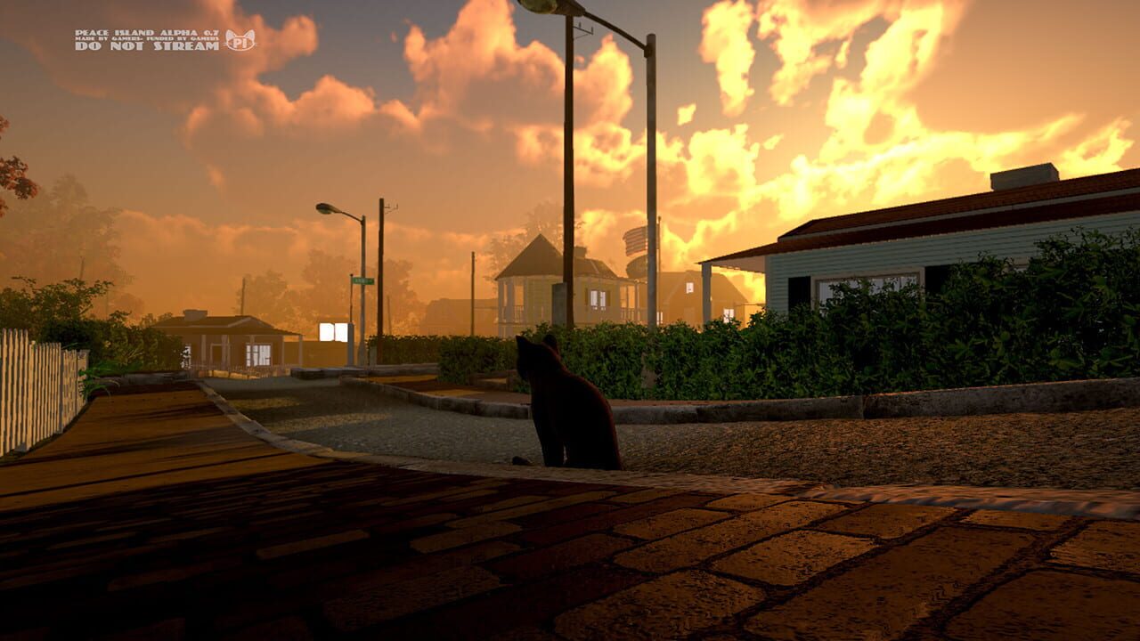Peace Island Image
