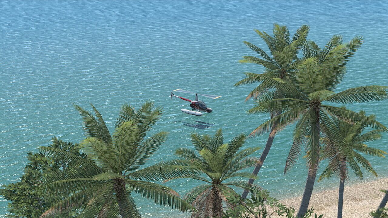 X-Plane 12 Image