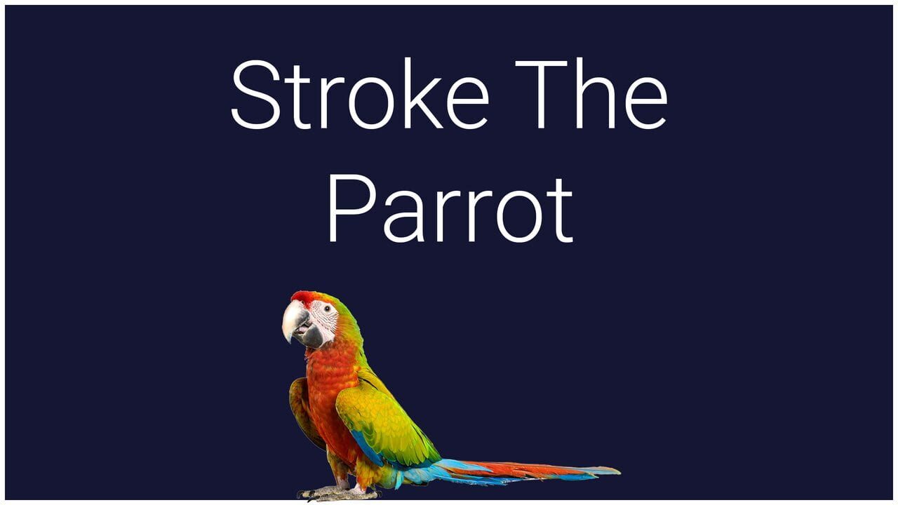 Stroke the Parrot — Screenshot 1