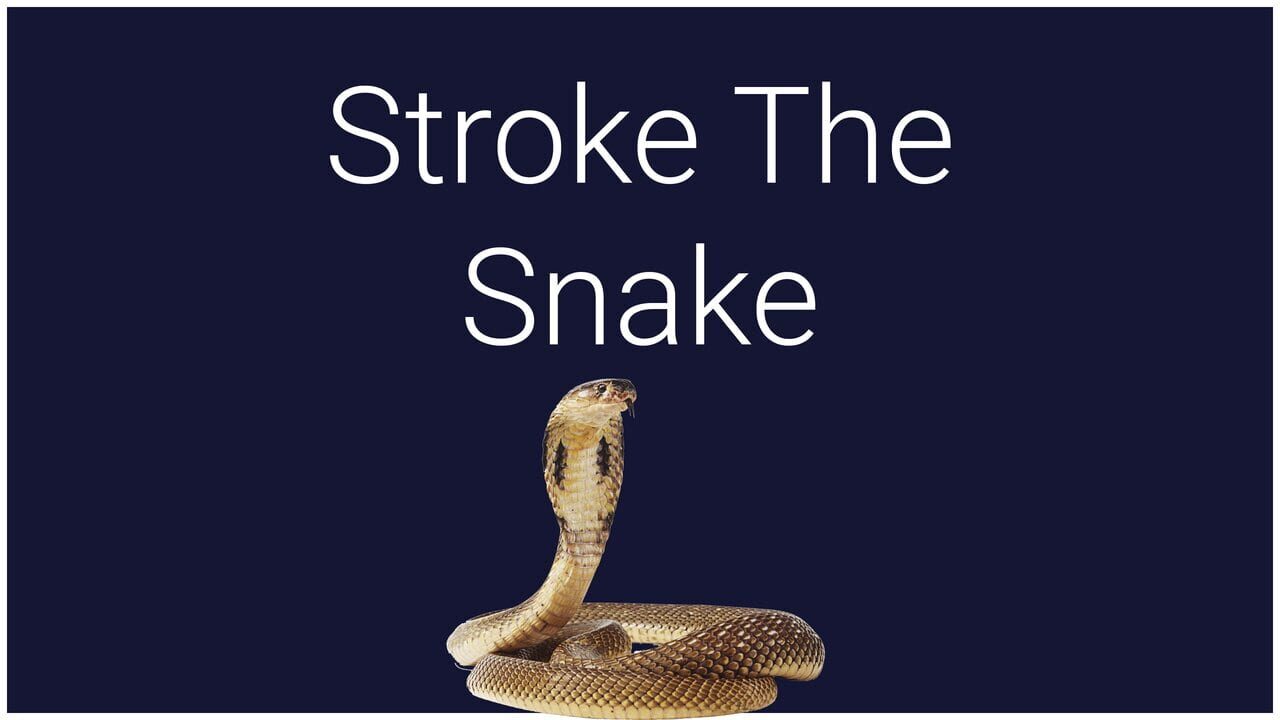 Stroke the Snake — Screenshot 1