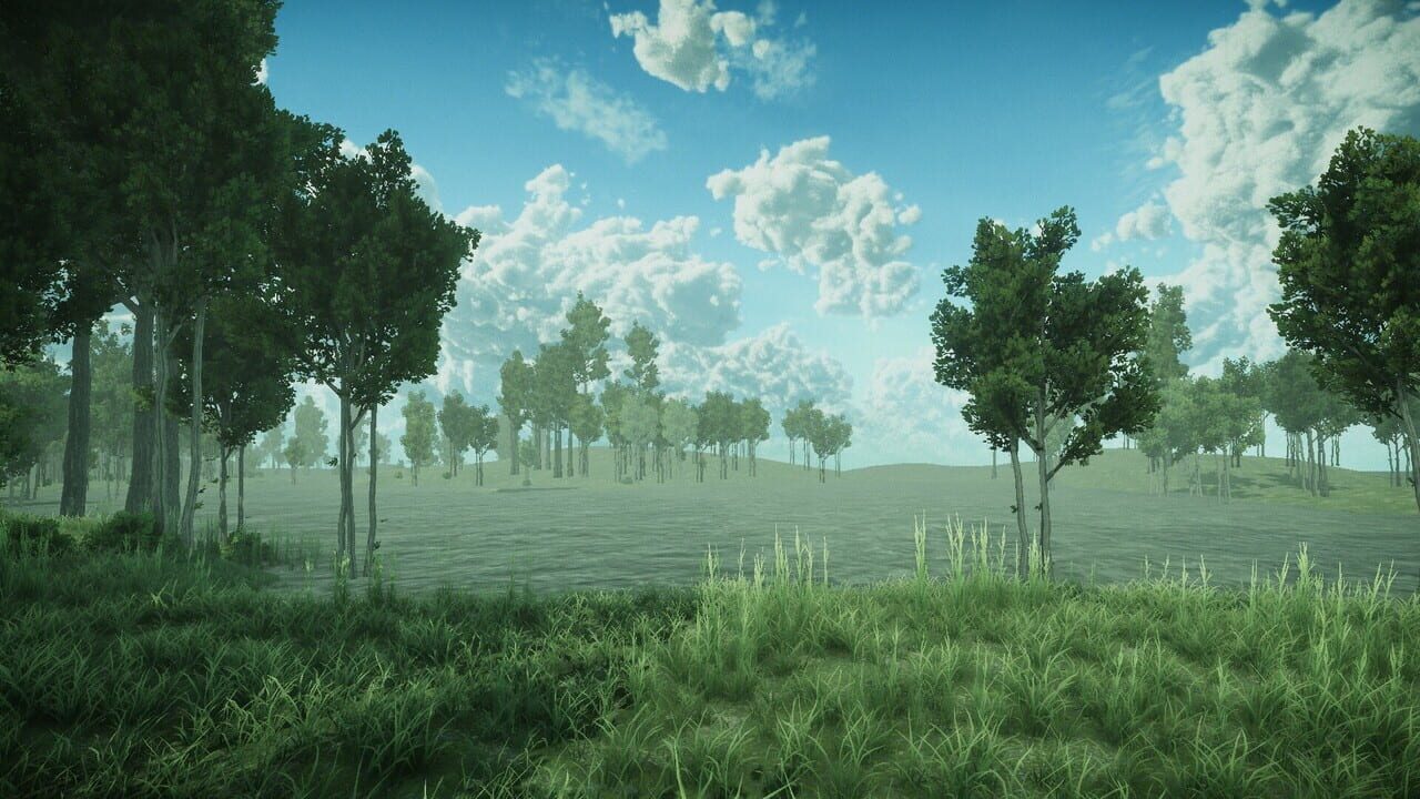 Forest Spring — Screenshot 3
