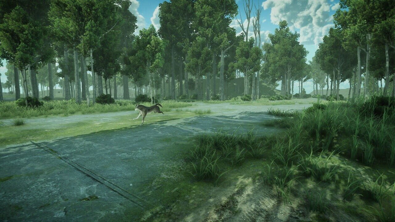 Forest Spring — Screenshot 5