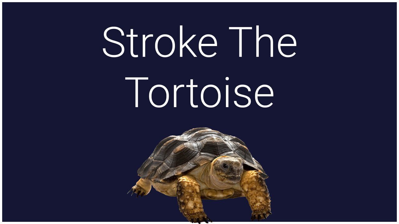 Stroke the Tortoise — Screenshot 1