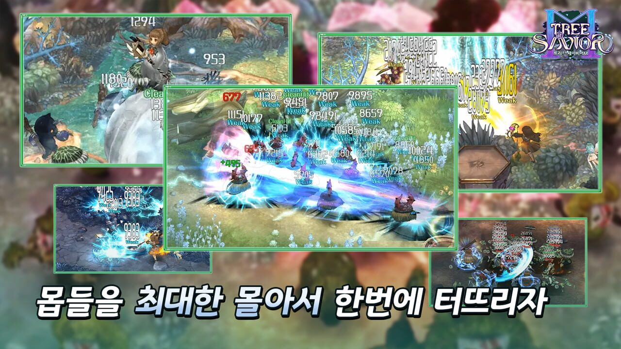 Tree of Savior M — Screenshot 5