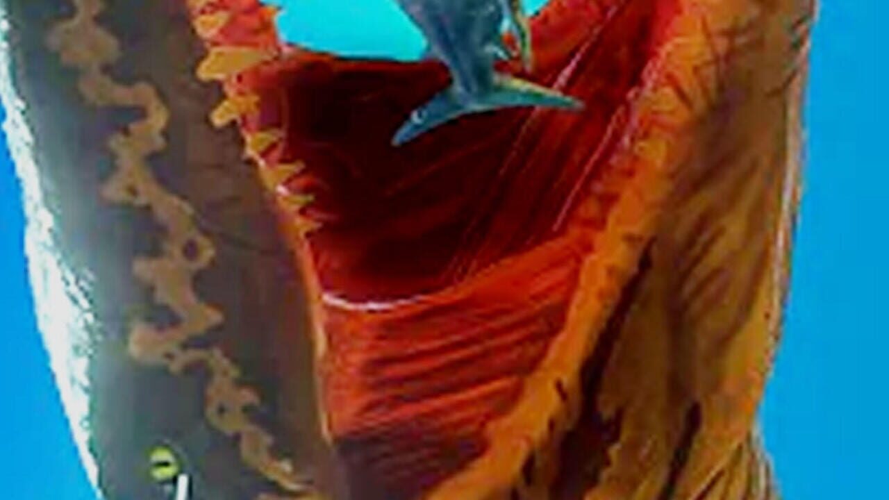 Fish Eater — Screenshot 4