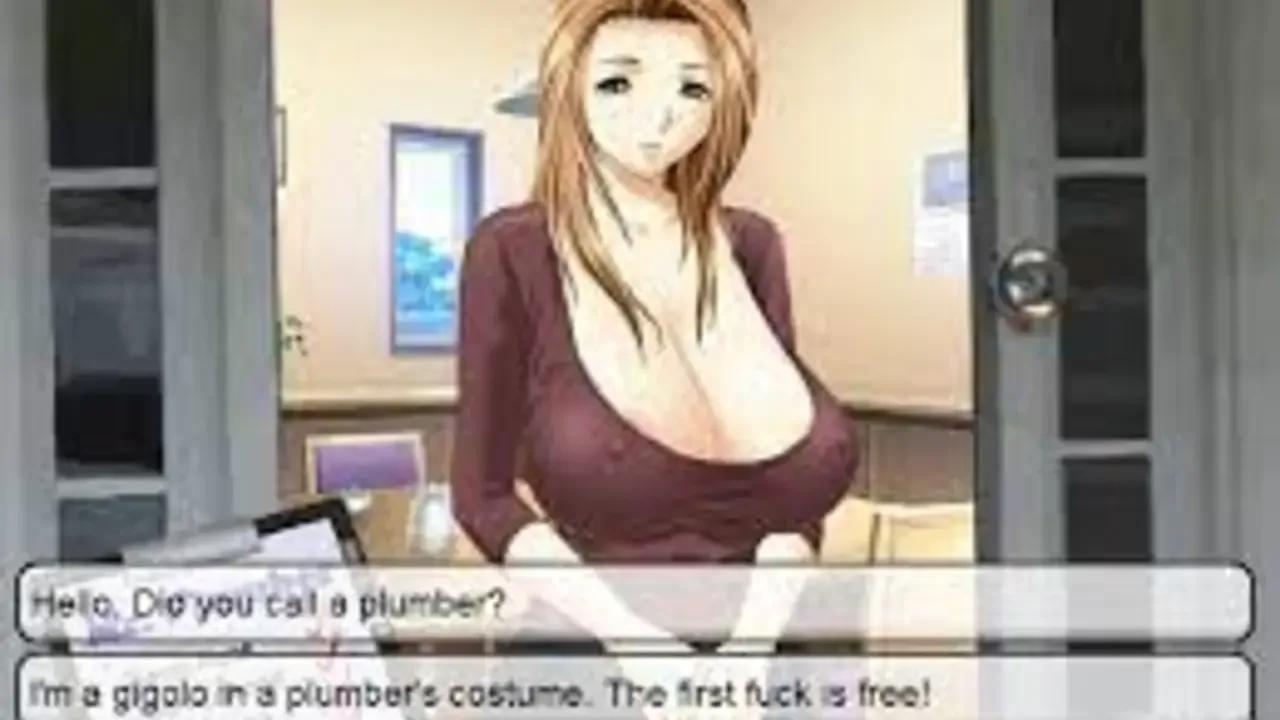 Meet'N'Fuck: The Plumber banner