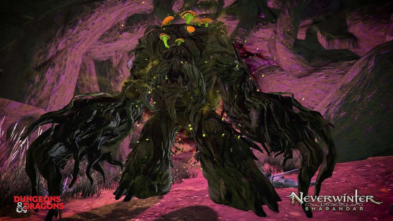 Neverwinter: Fury of the Feywild — Screenshot 2