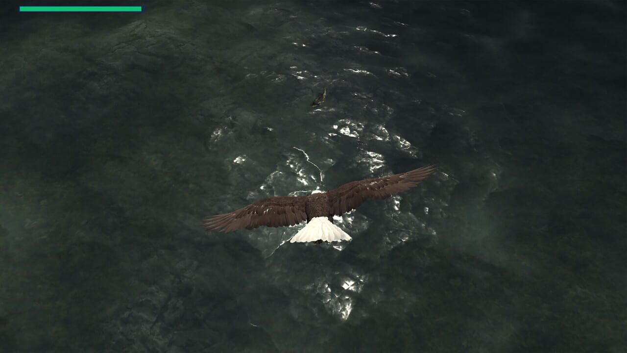 Eagle Hunting Journey Image