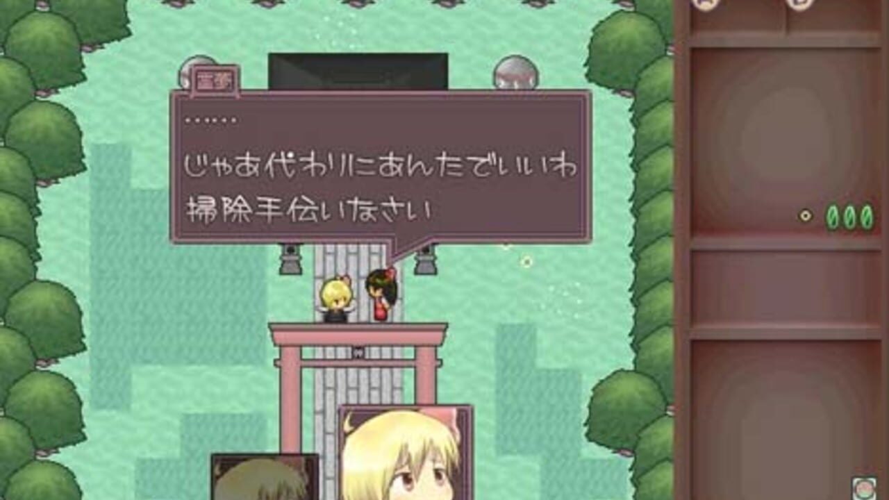 Screenshot 13