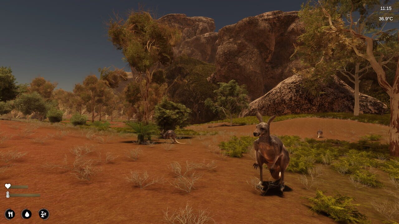 Alone in the Outback Image