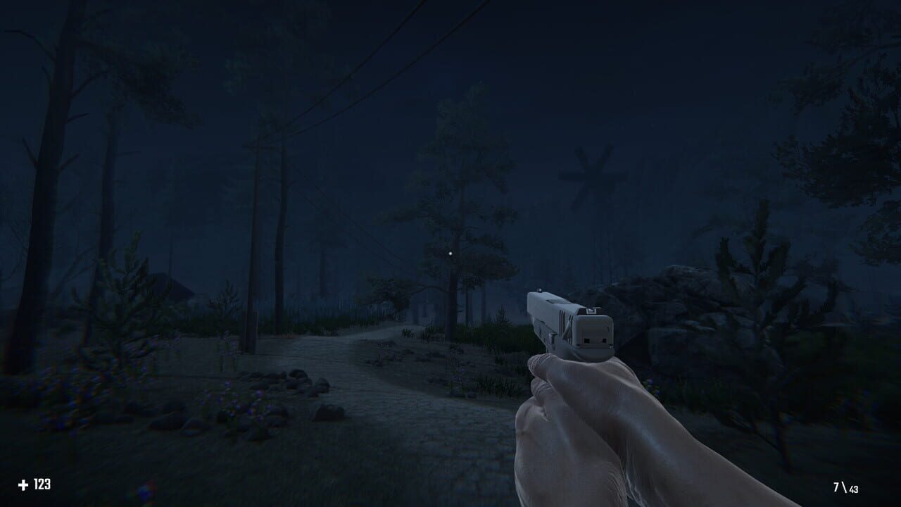 Screenshot 21