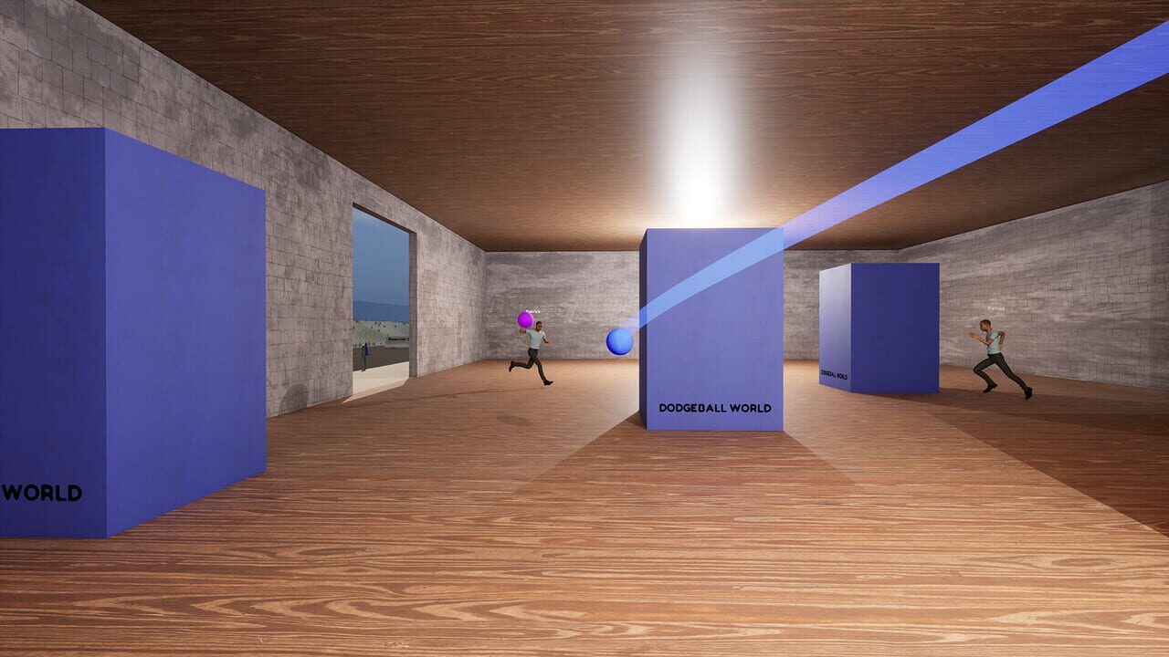 DodgeBall World — Screenshot 4
