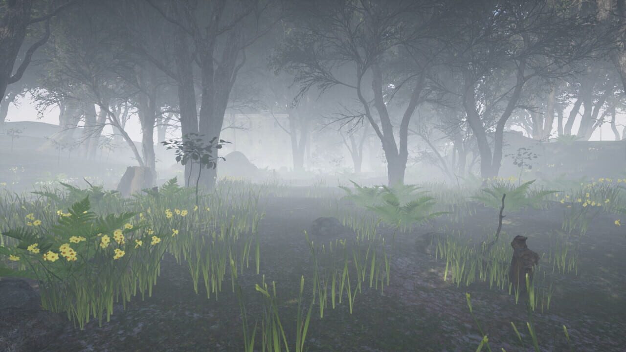 The Shelter of Patient Image