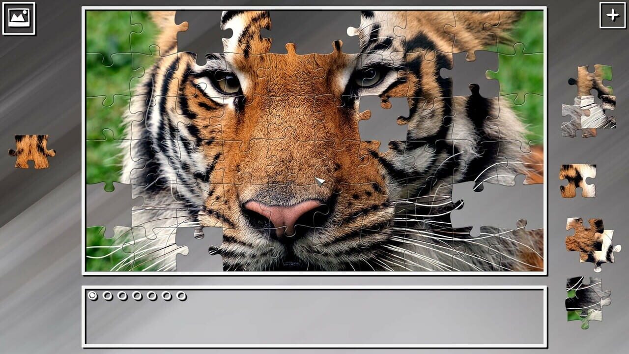 Super Jigsaw Puzzle: Generations - India Image