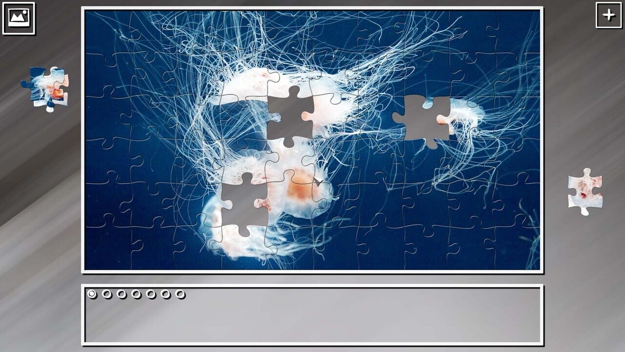 Super Jigsaw Puzzle: Generations - Jellyfishes Image