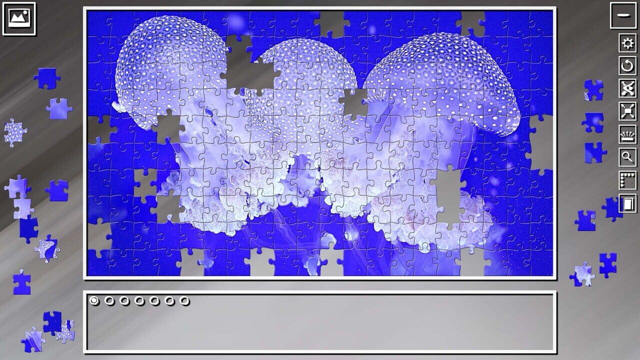 Super Jigsaw Puzzle: Generations - Jellyfishes Image