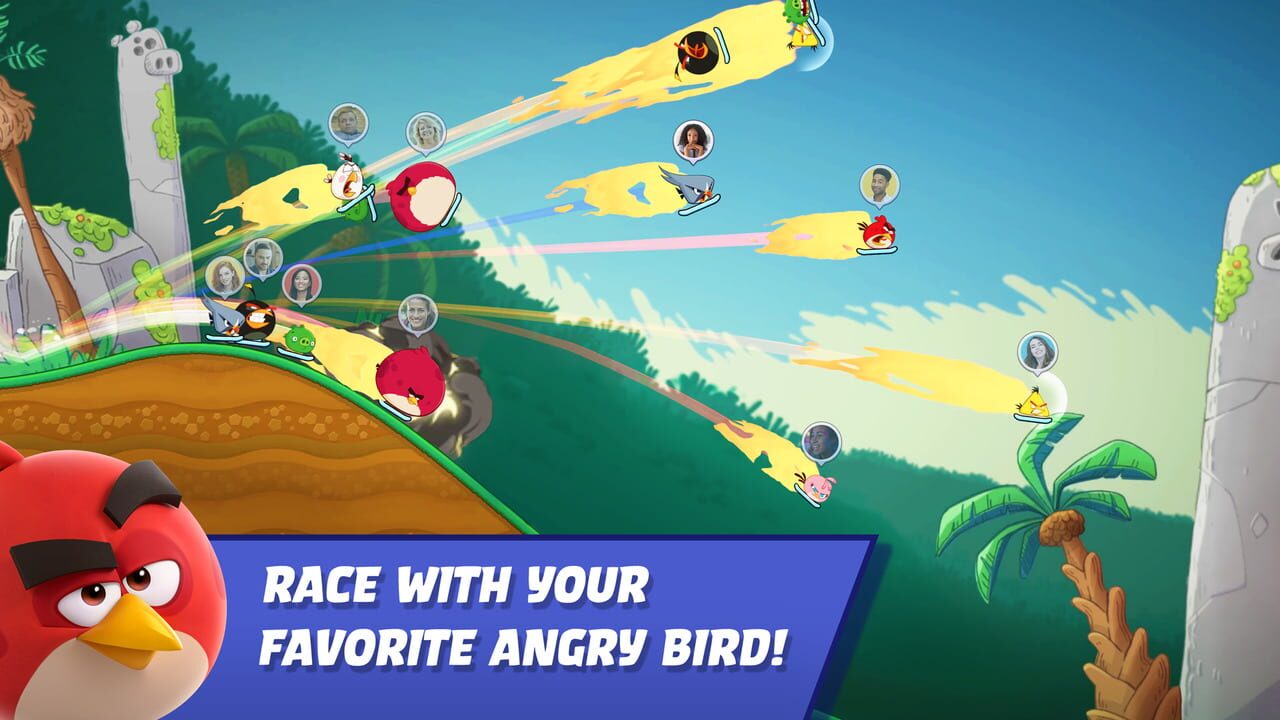 Angry Birds Racing — Screenshot 1