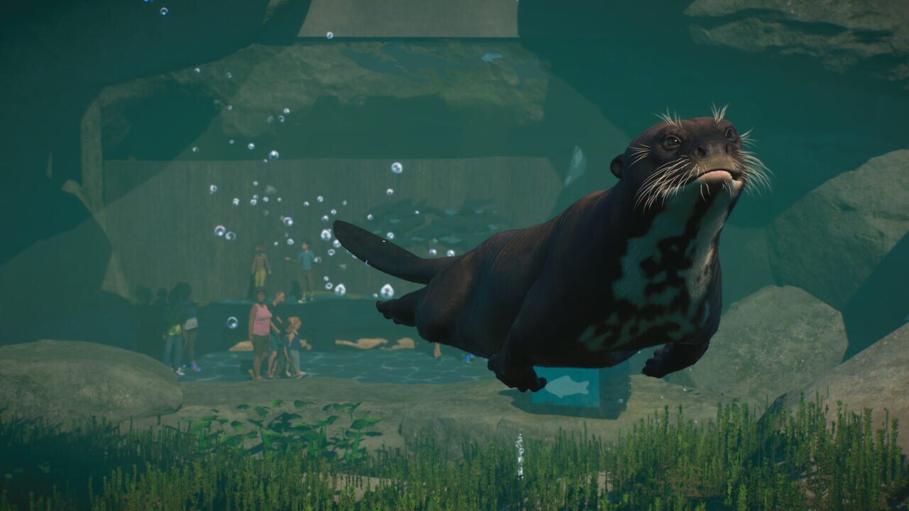 Planet Zoo: Aquatic Pack — Screenshot 5