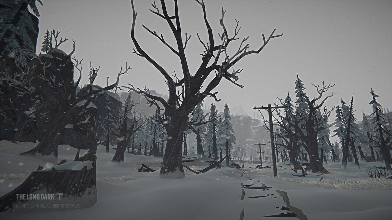 The Long Dark: Tales from the Far Territory Image