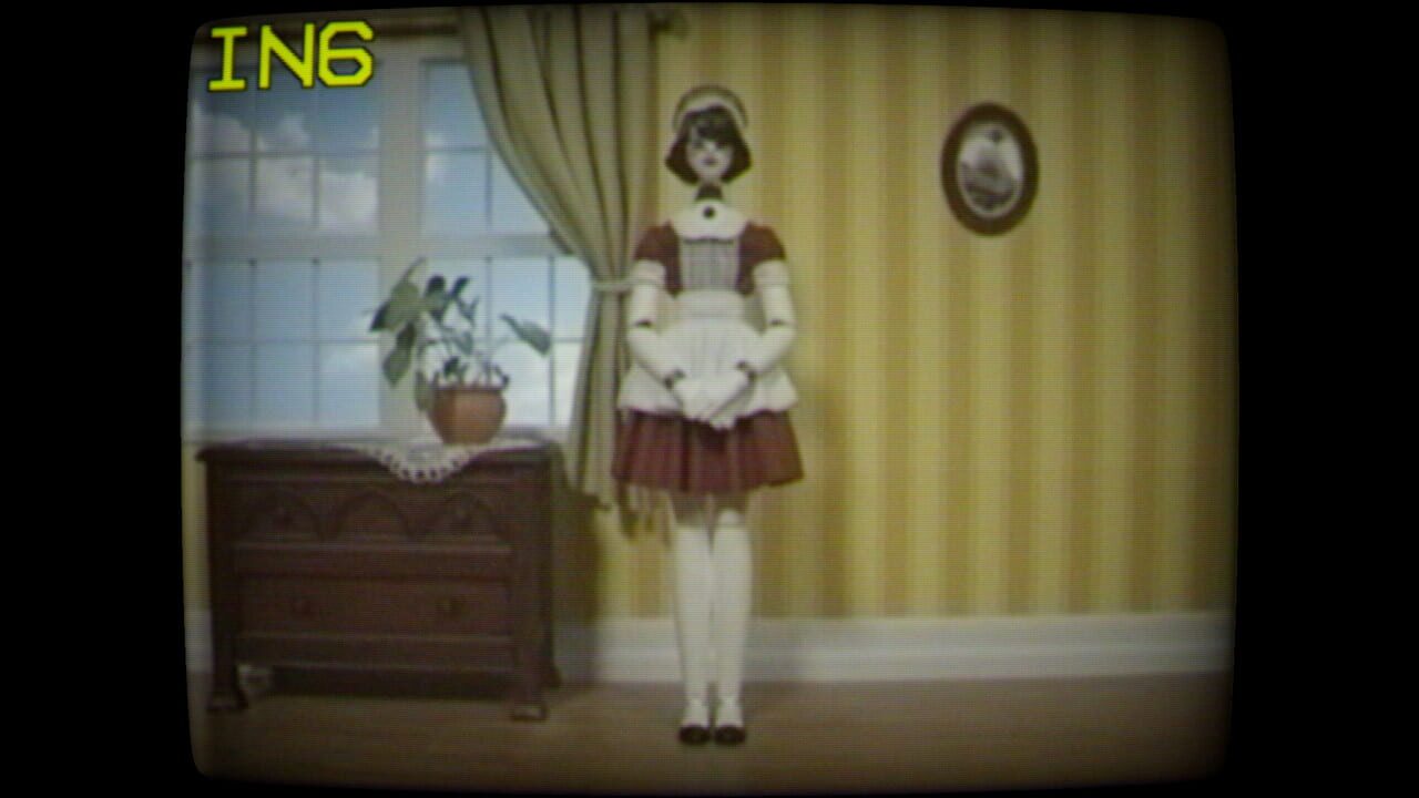 Input6 Image