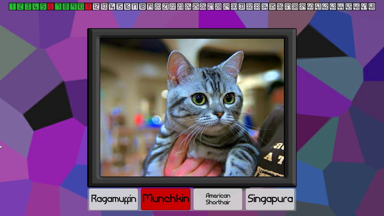 Test Your Knowledge: Cats Screenshot 1