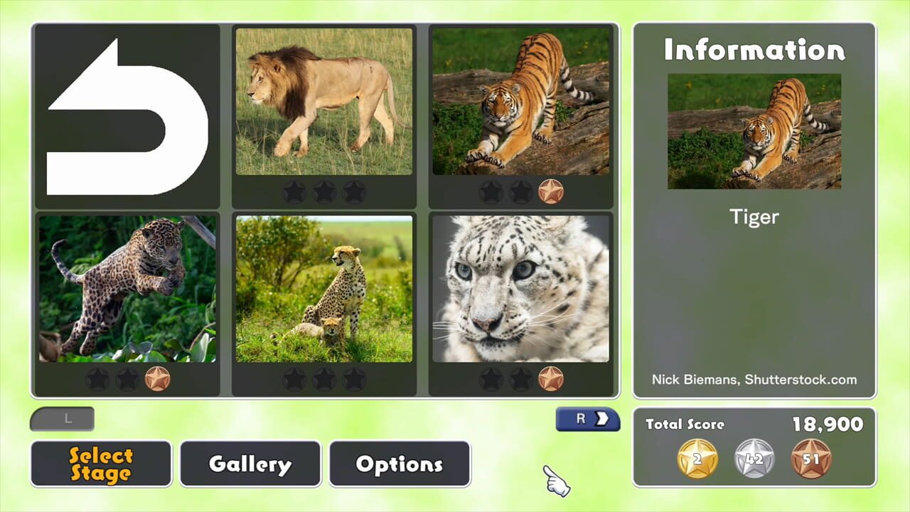 Jigsaw Masterpieces: Big Cat Friends Image